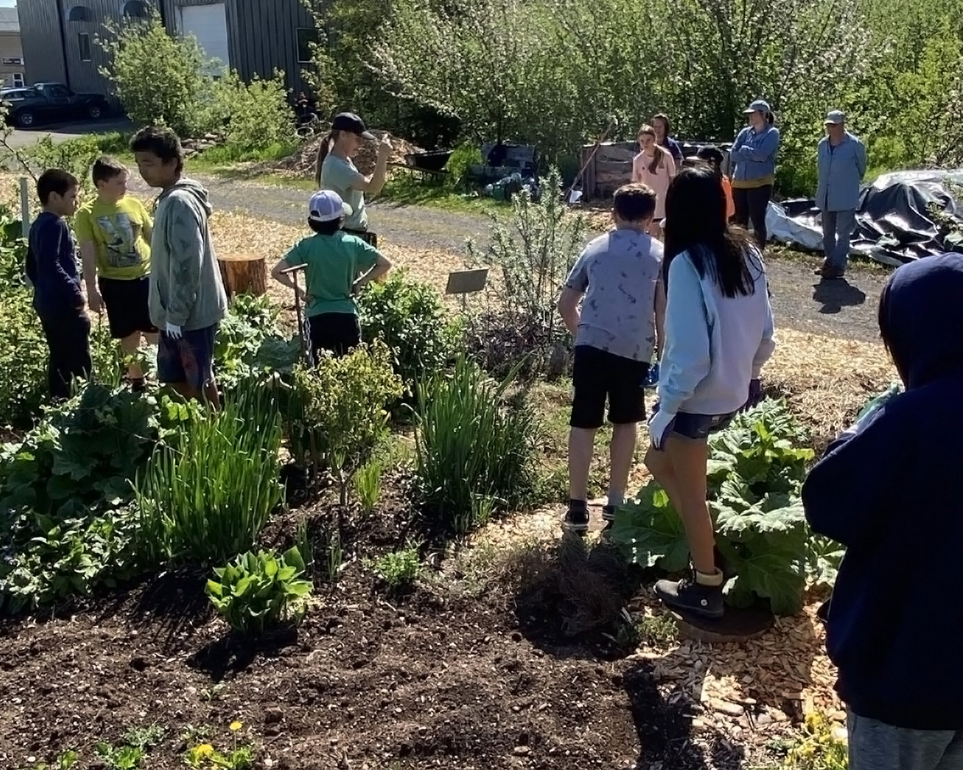 A group of youth in a garden.