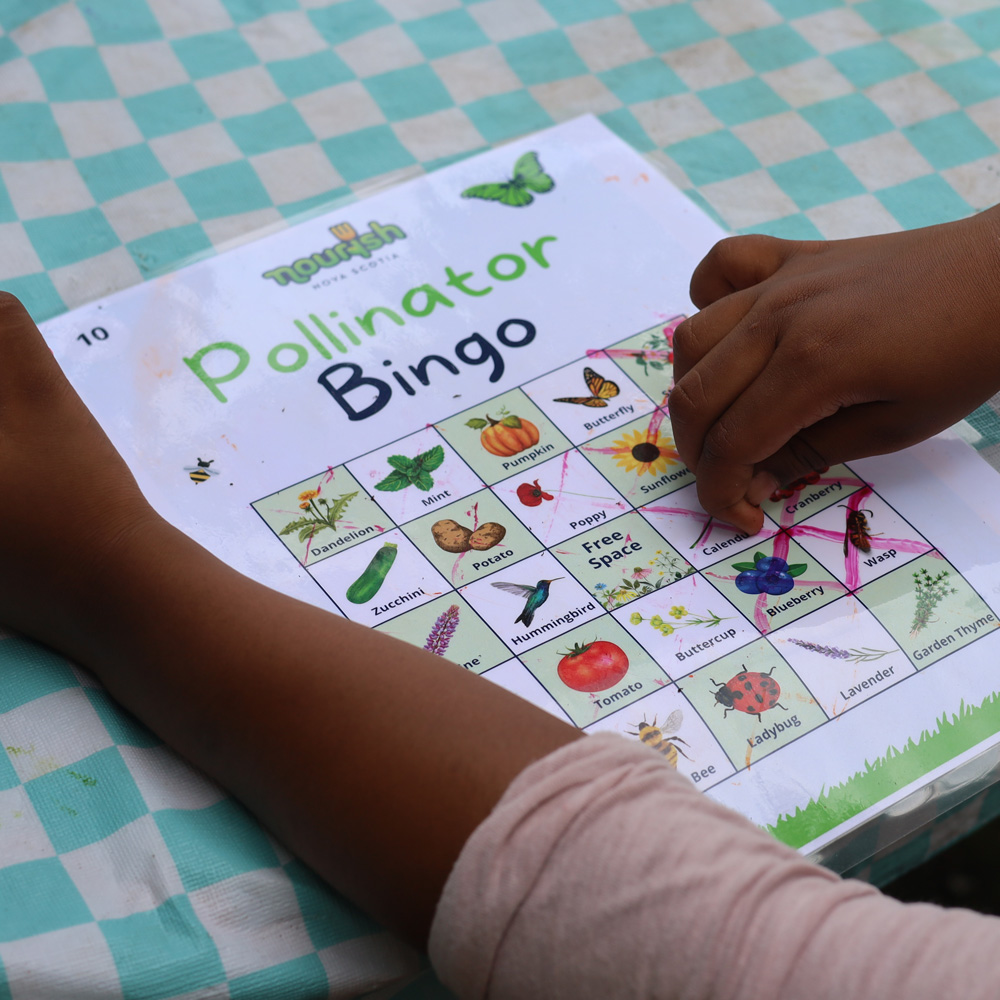A closeup of a child playing pollinator bingo.
